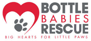 Bottle Babies Rescue Logo